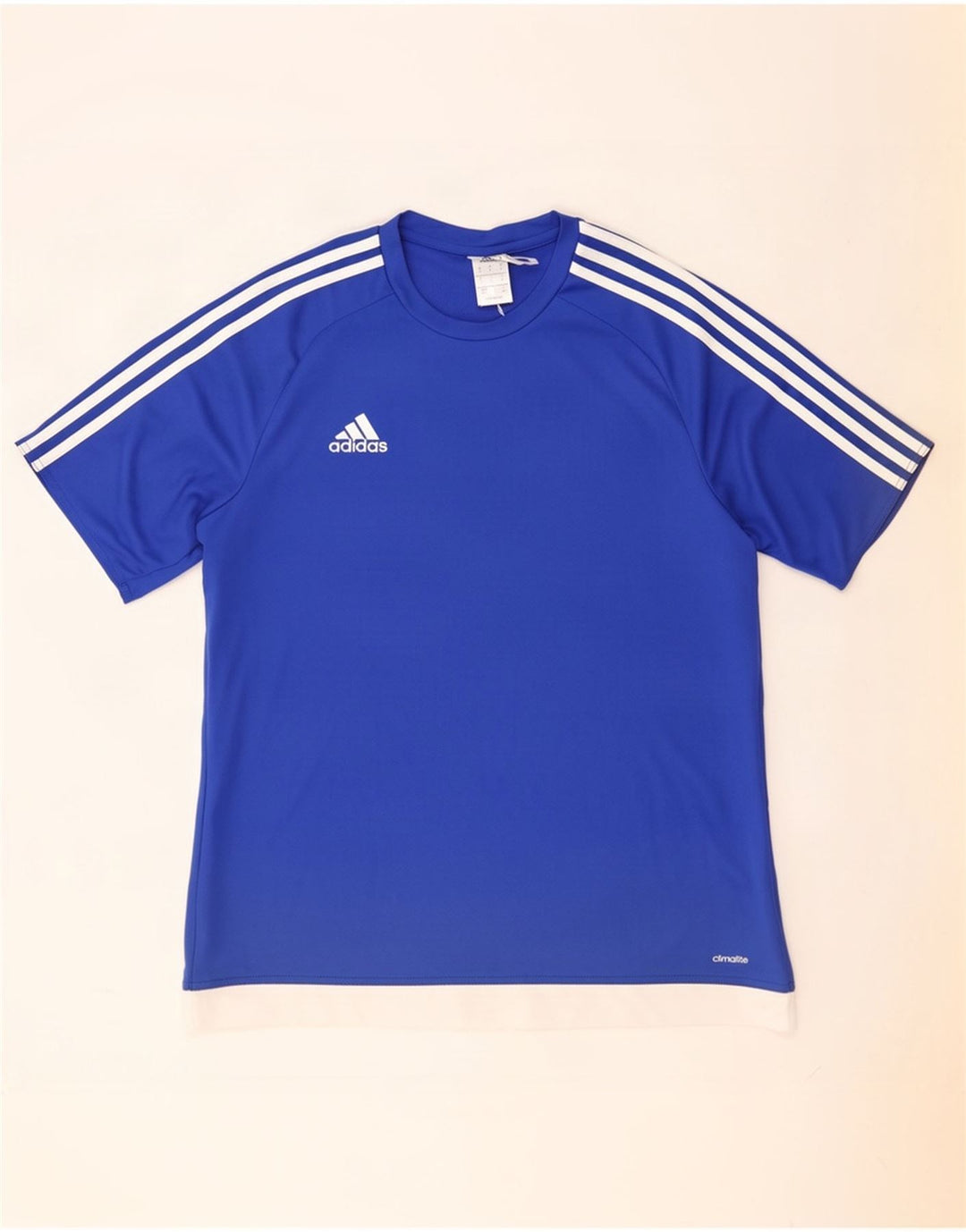 Ανδρικό T-Shirt Adidas Climalite Top Large Blue Colourblock