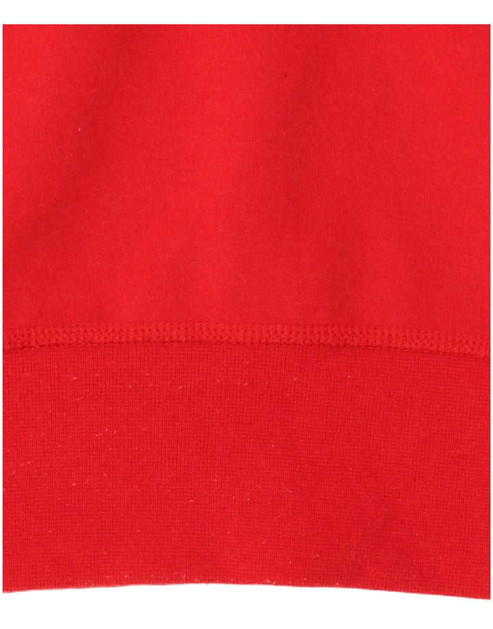 Ανδρικό φούτερ Polo Ralph Lauren Jumper μεγάλο κόκκινο πολυεστέρα