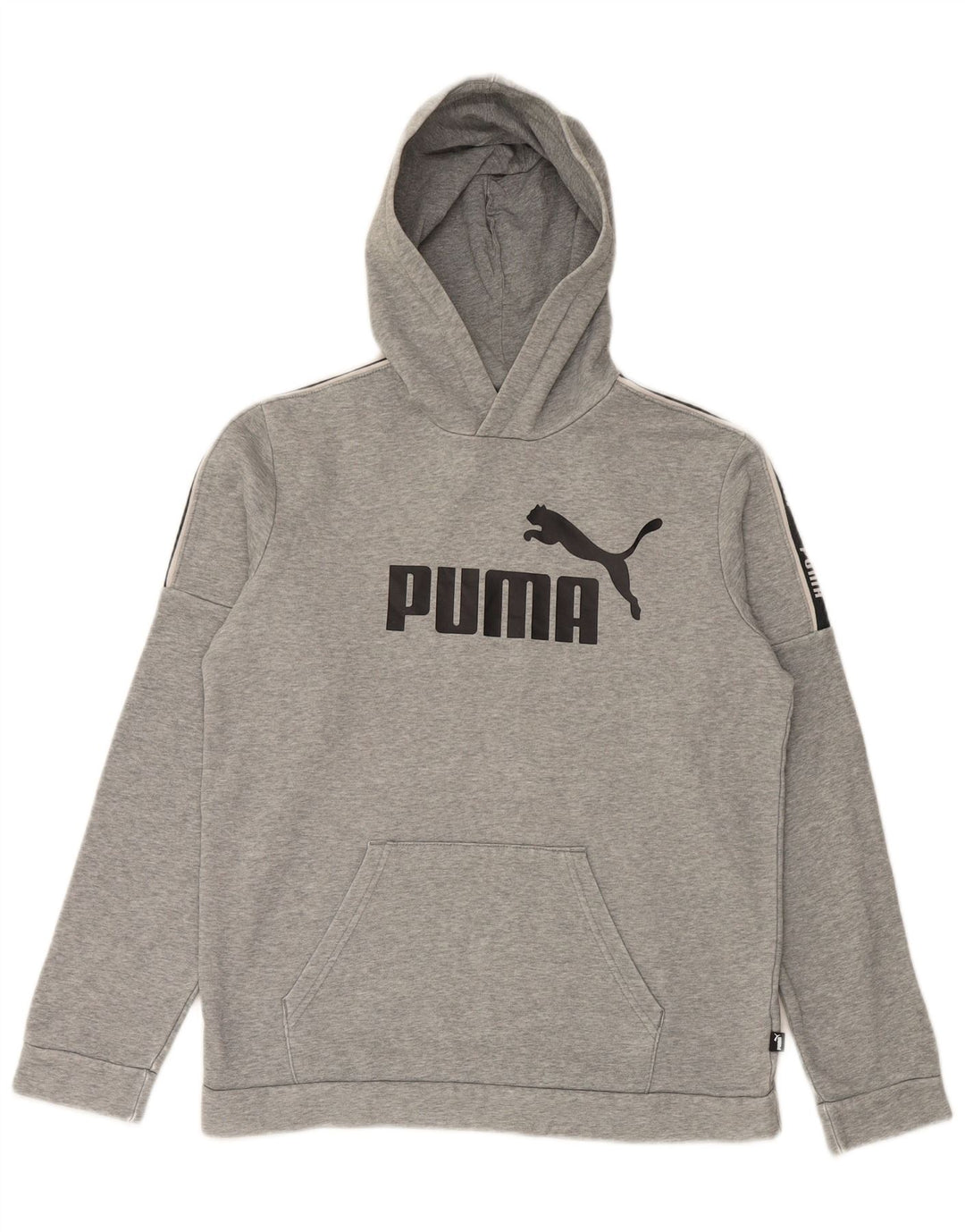 PUMA Boys Graphic Hoodie Jumper 15-16 Years Grey Cotton