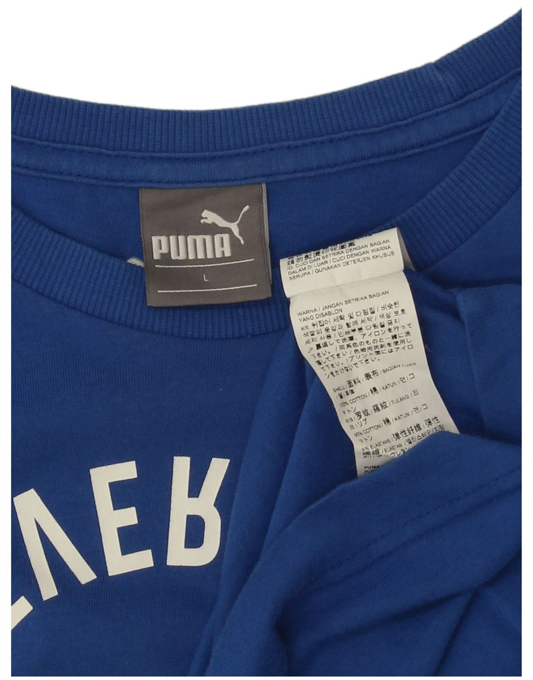Ανδρικό γραφικό T-Shirt Puma Top μεγάλο μπλε βαμβακερό