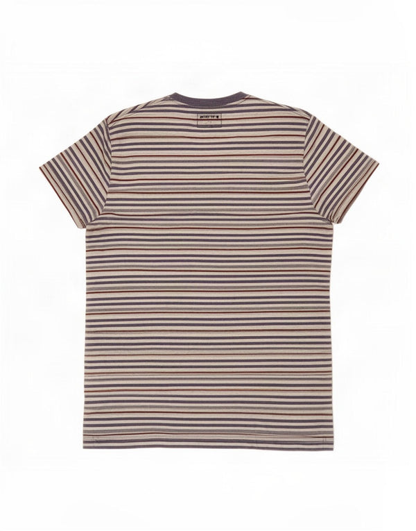 Ανδρικό T-Shirt French Connection Top μεγάλο πολύχρωμο pinstripe