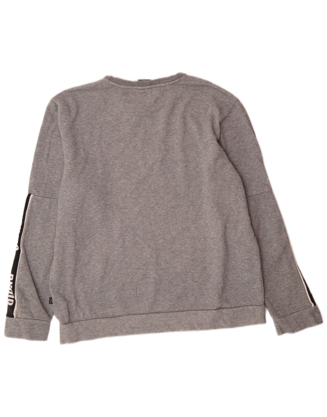 Ανδρικό γραφικό φούτερ PUMA Jumper Μεγάλο γκρι χρώμα, βαμβακερό