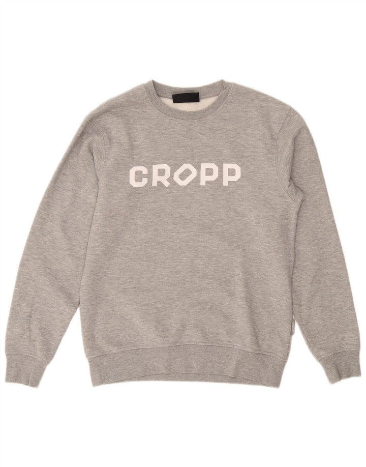 Cropp Ανδρικό φούτερ με κανονική εφαρμογή, γραφικό, μικρό γκρι βαμβακερό