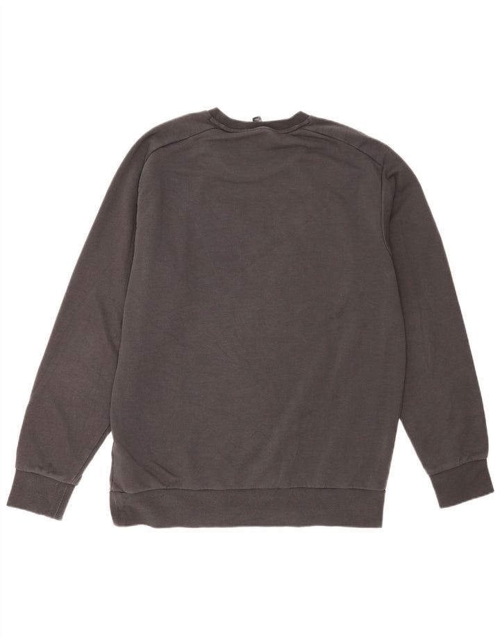 Ανδρικό φούτερ Adidas Graphic Regular Fit Jumper μεγάλο γκρι βαμβακερό