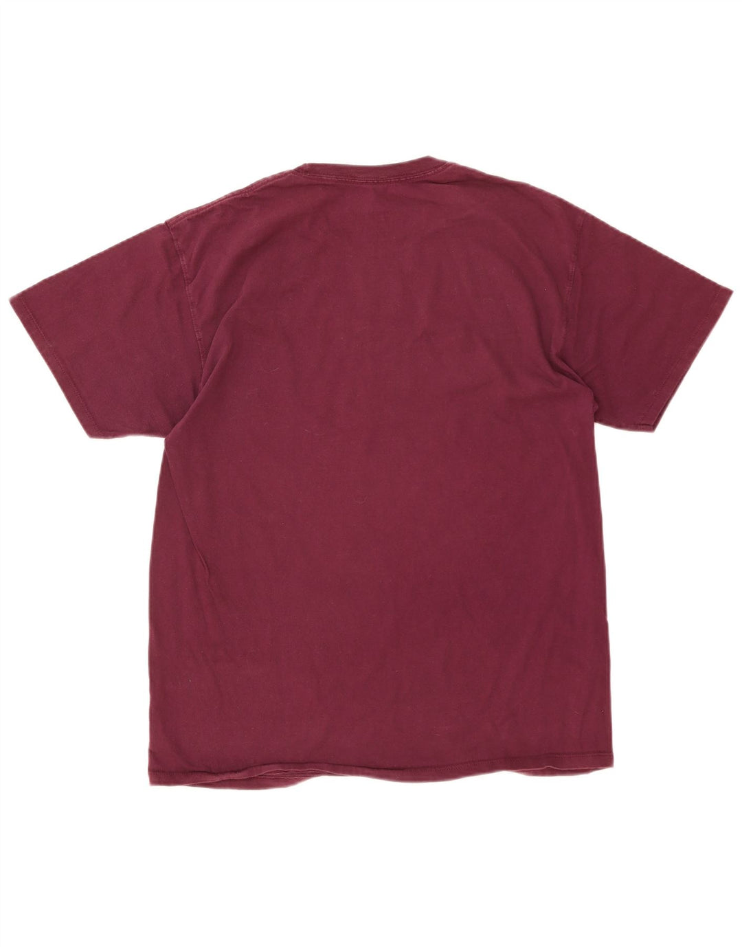 Ανδρικό T-Shirt Champion Top Large Burgundy
