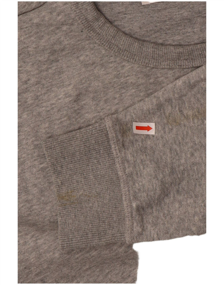 Ανδρικό φούτερ Penguin Jumper XL Γκρι βαμβακερό