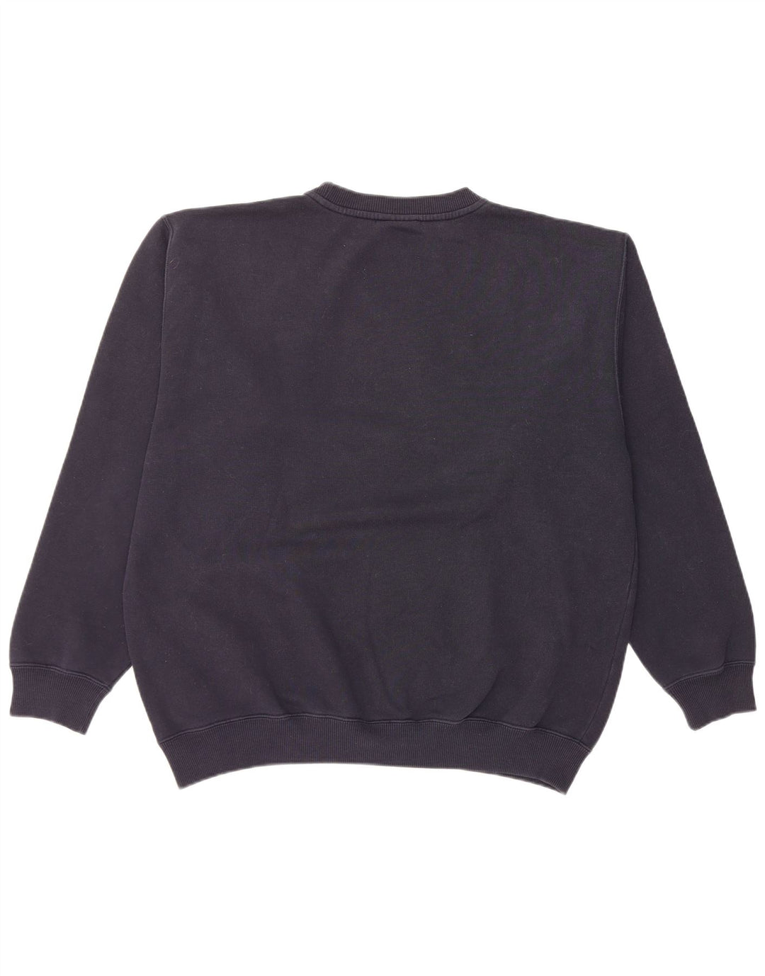Ανδρικό φούτερ Reebok, Jumper, μεσαίο μπλε βαμβακερό