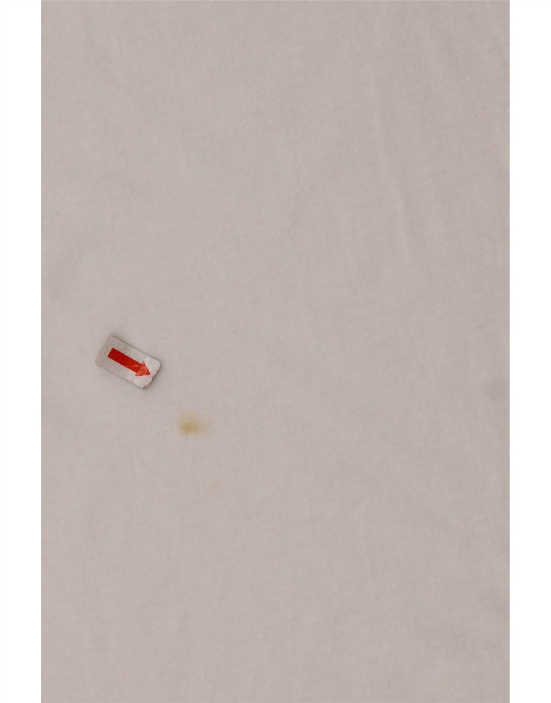 Γυναικείο γραφικό μπλουζάκι AVIREX Crop Top UK 22 2XL Λευκό βαμβακερό