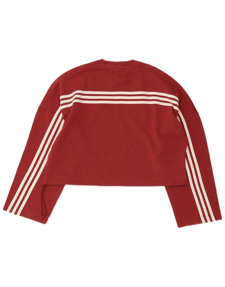 Γυναικεία φούτερ Adidas Crop Oversized Jumper UK 8/10 Small Burgundy