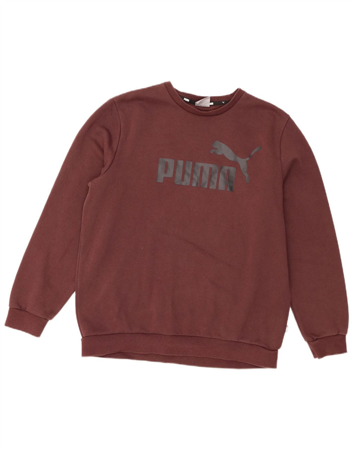 Ανδρικό γραφικό φούτερ Puma Jumper Μεσαίο καφέ