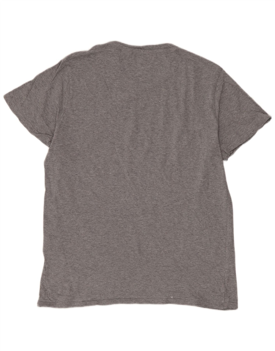 Ανδρικό γραφικό T-Shirt Levi's Top μεγάλο γκρι βαμβακερό ριγέ