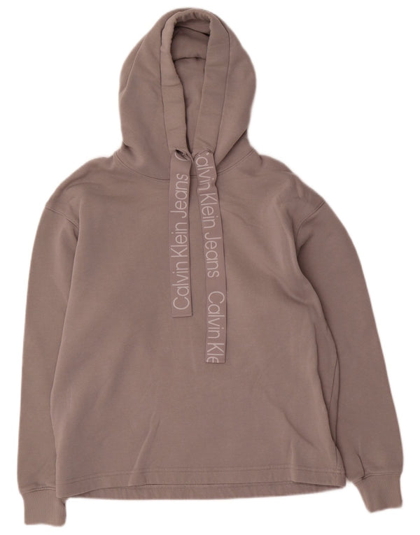 Calvin Klein Jeans Γυναικεία γραφικά Oversized Hoodie Jumper UK 10 Small Grey