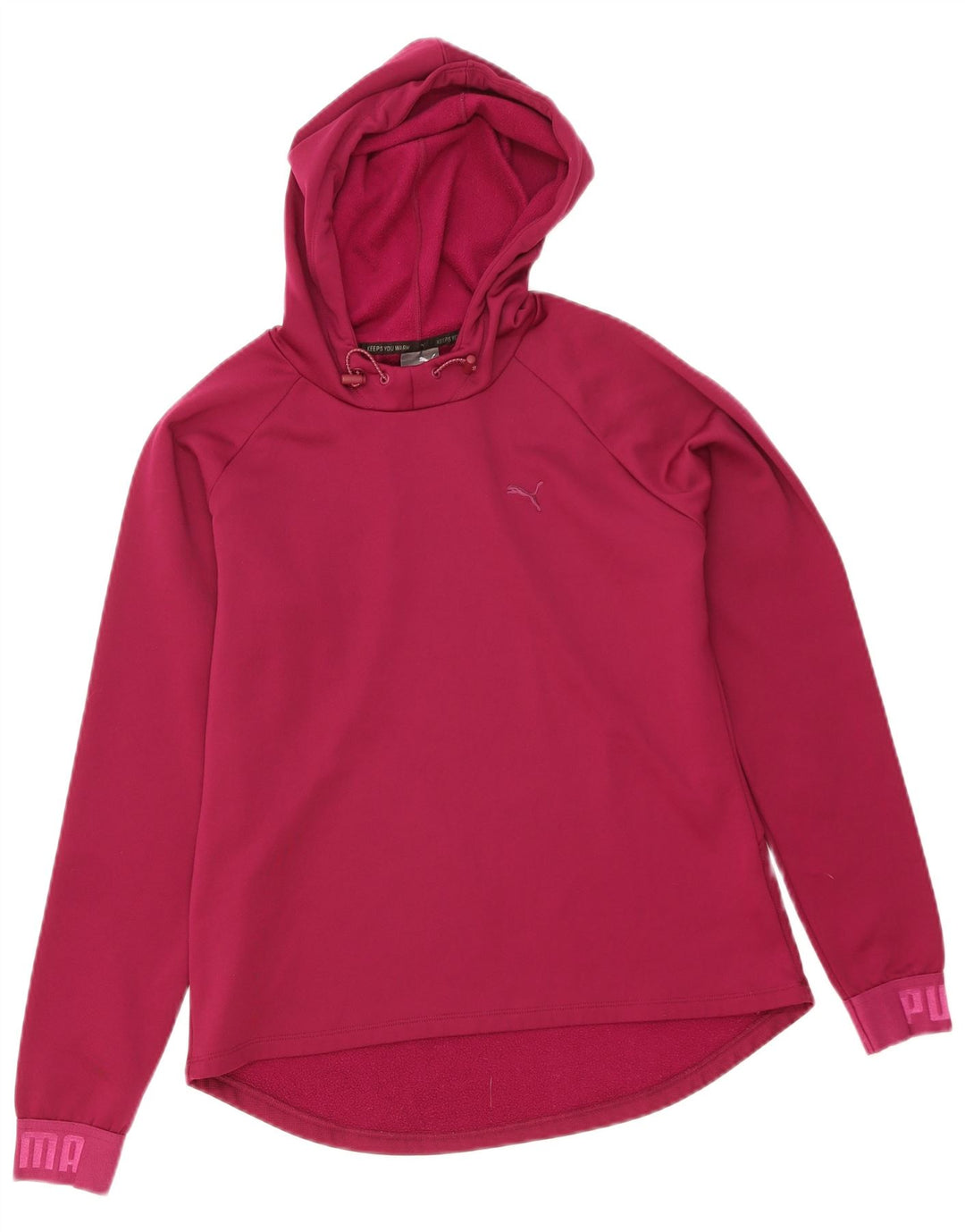 Puma Γυναικείο Γραφικό Hoodie Jumper UK 12 Medium Purple Polyester