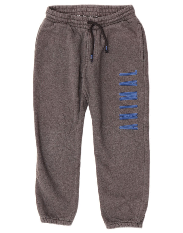 Animal Boys Graphic αθλητική φόρμα παντελόνι Joggers 7-8 ετών γκρι βαμβακερό