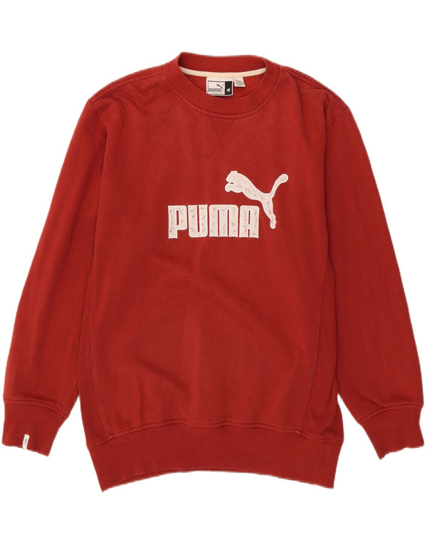 Ανδρικό γραφικό φούτερ PUMA Jumper Medium Red