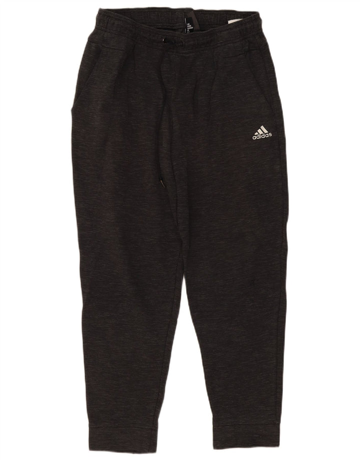 Ανδρική φόρμα ADIDAS Παντελόνι Joggers Βαμβακερό μεσαίο γκρι