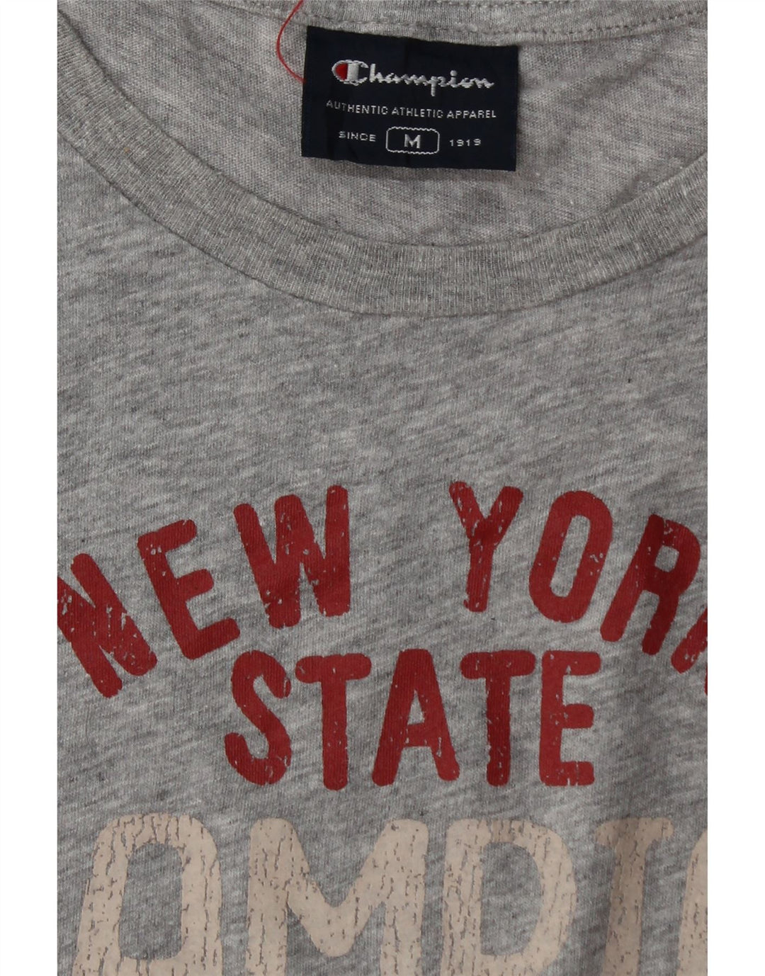 Ανδρικό γραφικό γιλέκο Champion Top Medium Grey Flecked
