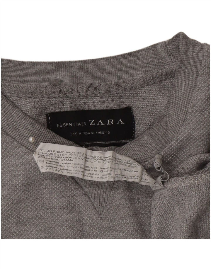 Ανδρικό φούτερ Zara Jumper Μεσαίο γκρι βαμβακερό