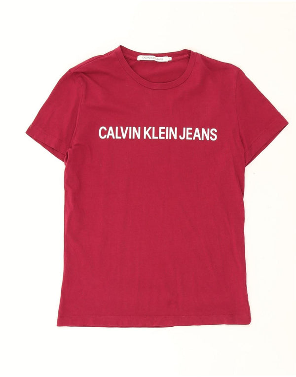 Ανδρικό γραφικό μπλουζάκι CALVIN KLEIN JEANS, μεσαίο βαμβακερό μπορντό
