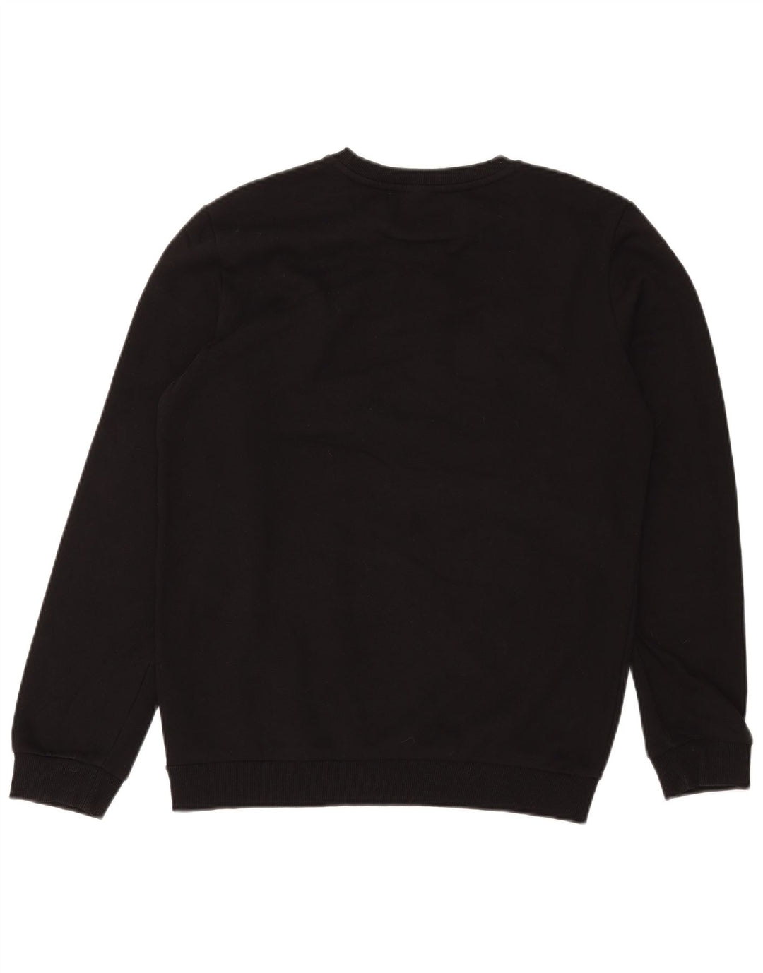 Ανδρικό γραφικό φούτερ Puma Jumper Μικρό μαύρο βαμβακερό