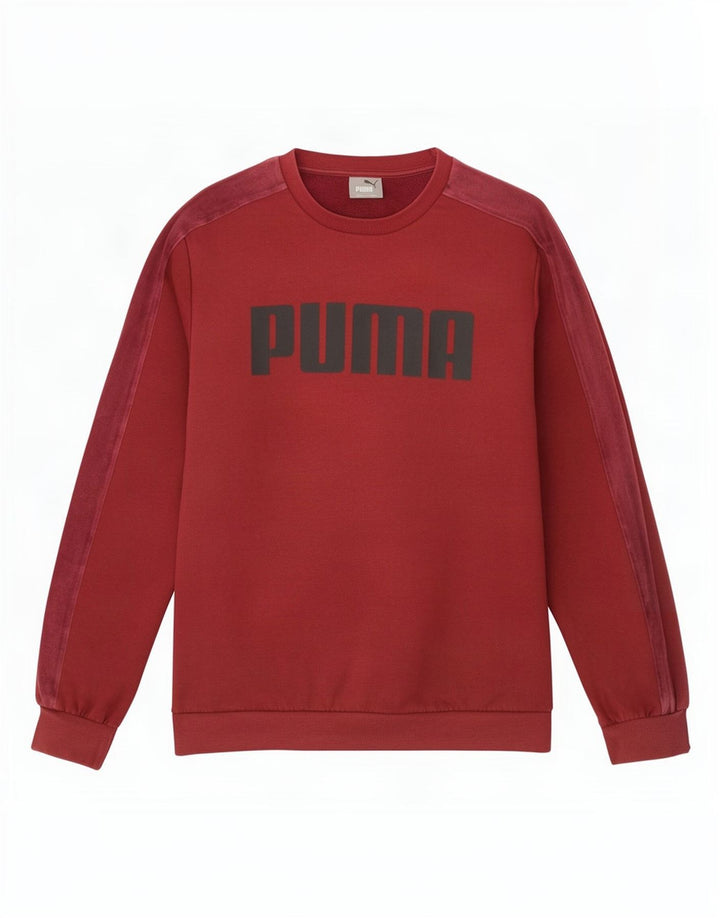 Ανδρικό γραφικό φούτερ Puma Jumper Μεσαίο μπορντό βαμβακερό