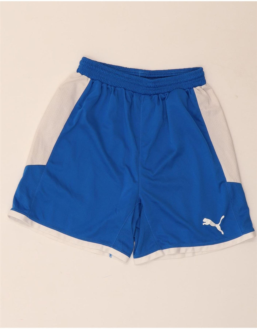 Ανδρικό αθλητικό σορτς PUMA Small Blue Colourblock Πολυεστέρας