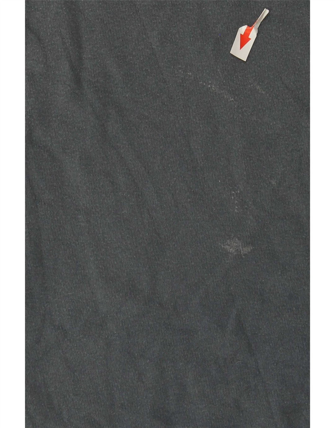 Μπλουζάκι Weird Fish Graphic T-Shirt Top Medium Grey Cotton
