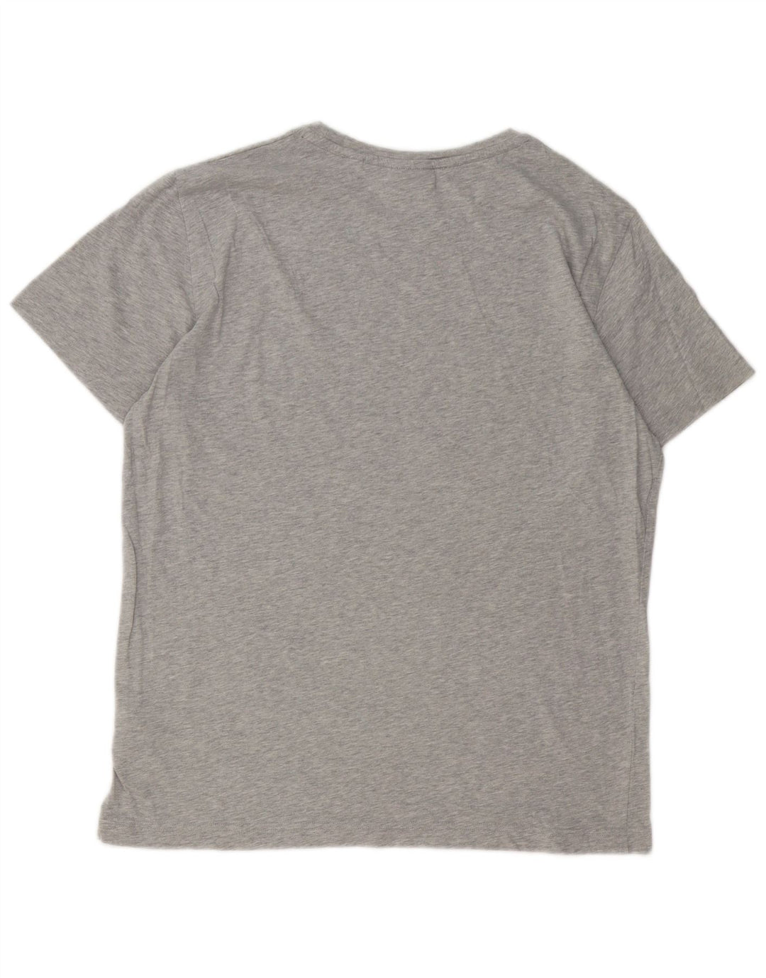 Ανδρικό γραφικό T-Shirt Gant Top Larg γκρι βαμβακερό