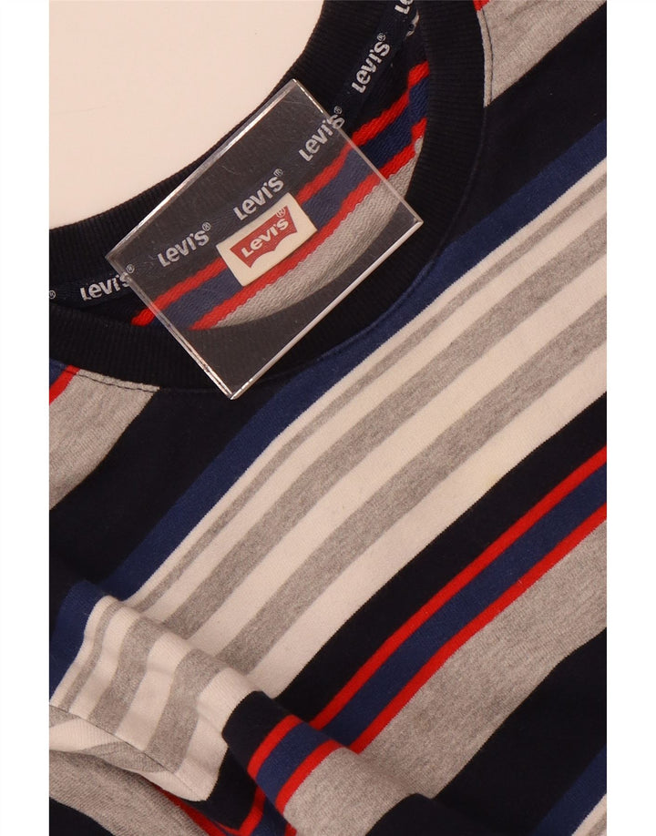 Ανδρικό φούτερ Levi's Jumper Μικρό Πολύχρωμο Ριγέ