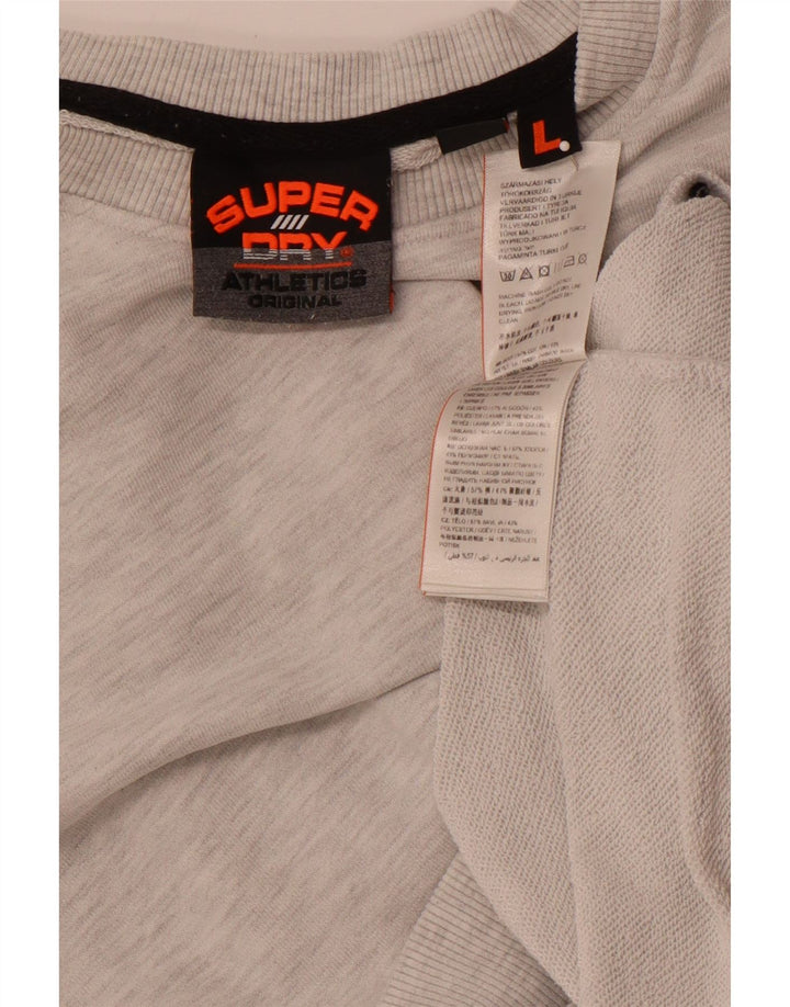 Ανδρικό γραφικό φούτερ SUPERDRY Jumper μεγάλο γκρι βαμβακερό