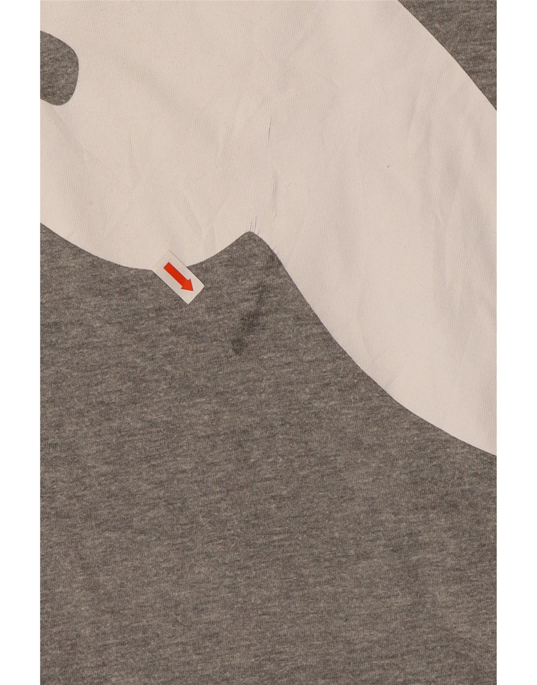 Ανδρικό γραφικό μπλουζάκι PUMA Top 2XL Γκρι