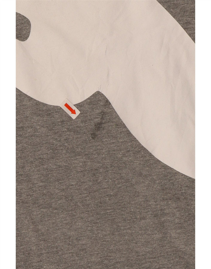 Ανδρικό γραφικό μπλουζάκι PUMA Top 2XL Γκρι