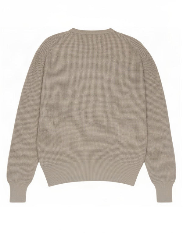 Ανδρικό πουλόβερ All Saints Crew Neck Jumper Μεσαίο γκρι βαμβακερό
