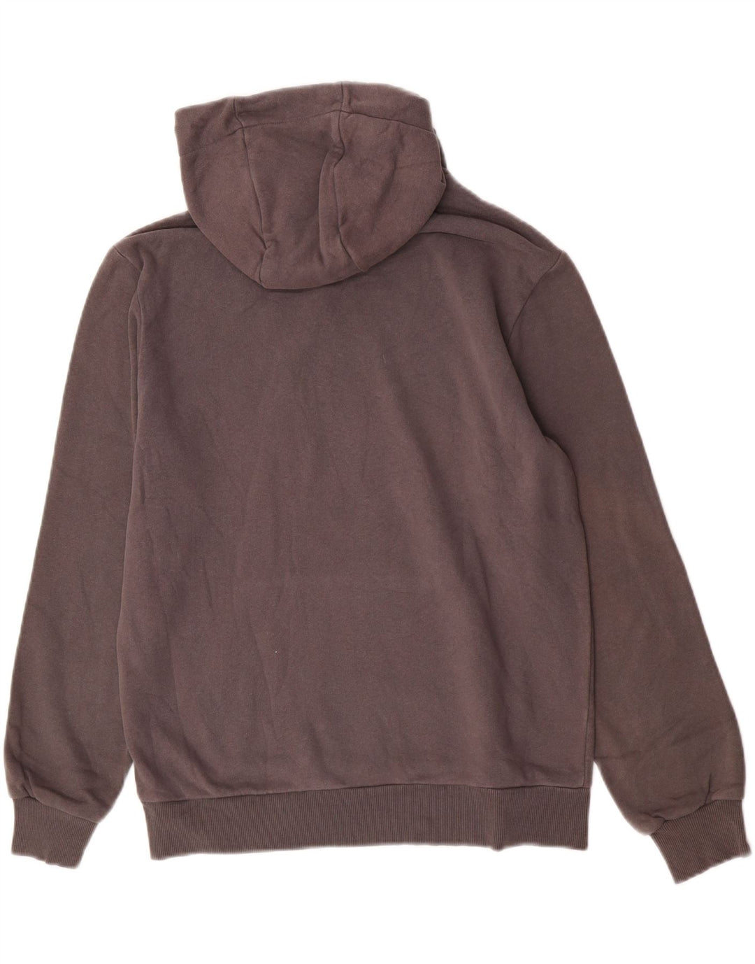 Ανδρικά Refrigiwear Graphic Hoodie Jumper Μεσαίο γκρι βαμβακερό
