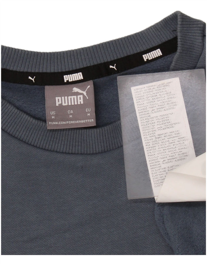Ανδρικό φούτερ PUMA Jumper Μεσαίο γκρι βαμβακερό