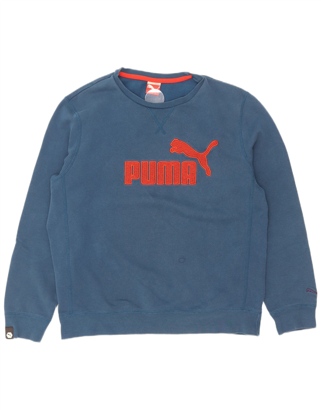 Ανδρικό γραφικό φούτερ Puma Jumper μεγάλο μπλε βαμβακερό