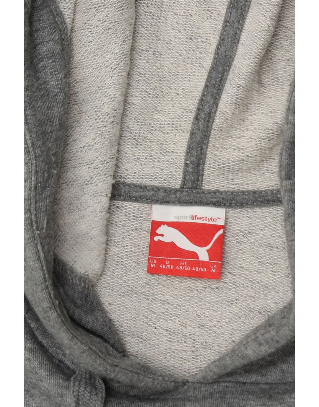 Ανδρικό γραφικό κουκούλα PUMA, μεσαίο γκρι