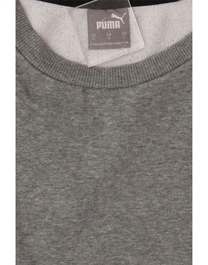 Ανδρικό γραφικό φούτερ Puma Jumper με μεγάλο γκρι χρώμα