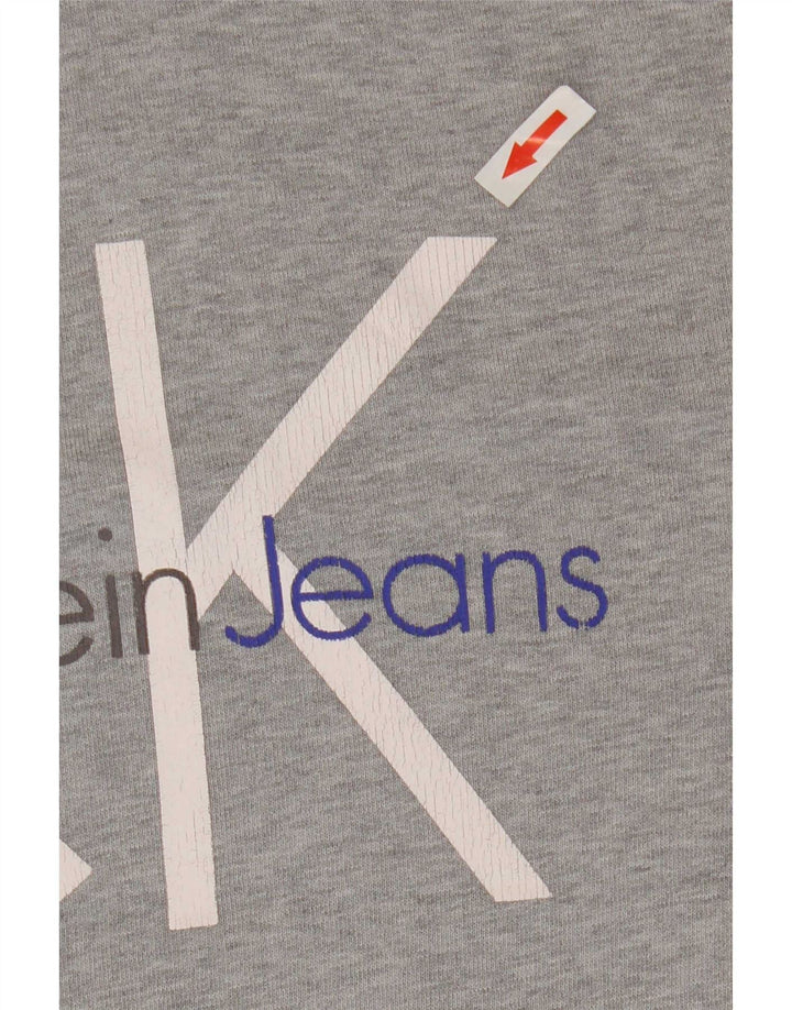 Ανδρικό τζιν Calvin Klein Graphic Hoodie Jumper Medium Grey