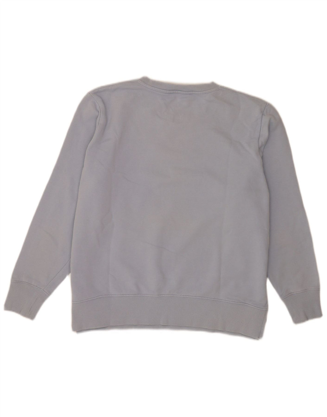 Γυναικεία φούτερ Tommy Hilfiger Graphic Jumper UK 14 Large Blue