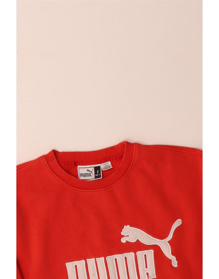 Ανδρικό γραφικό φούτερ PUMA Jumper Μικρό πορτοκαλί βαμβακερό