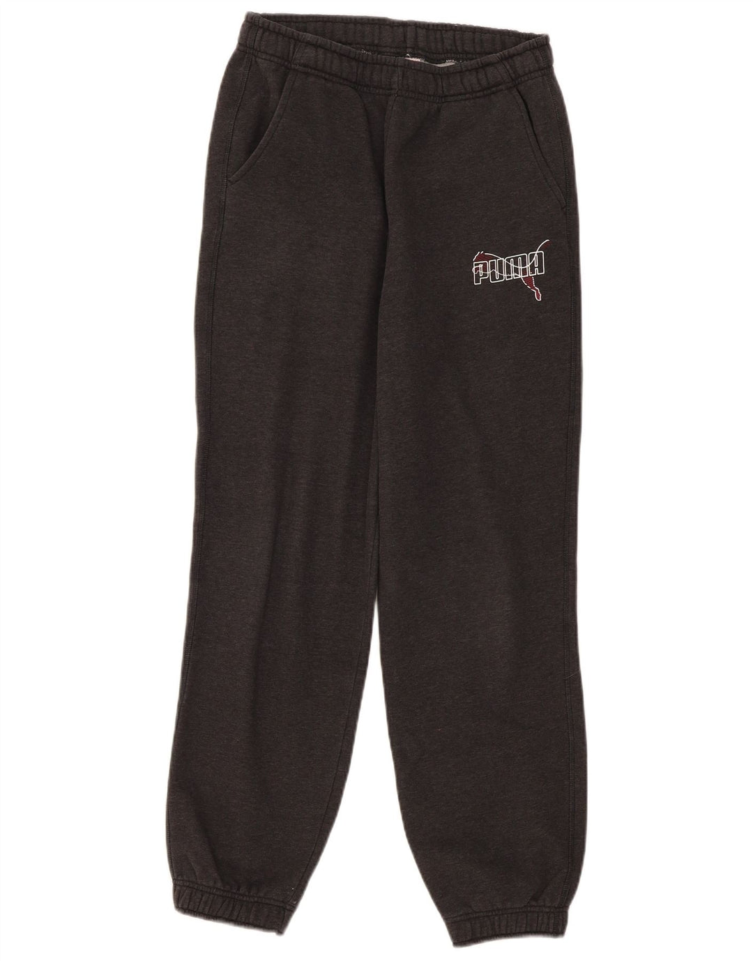 Ανδρική φόρμα γραφικής Puma Παντελόνι Joggers Small Grey Flecked