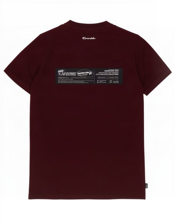 Superdry Mens Graphic T-Shirt Top Large Maroon Cotton