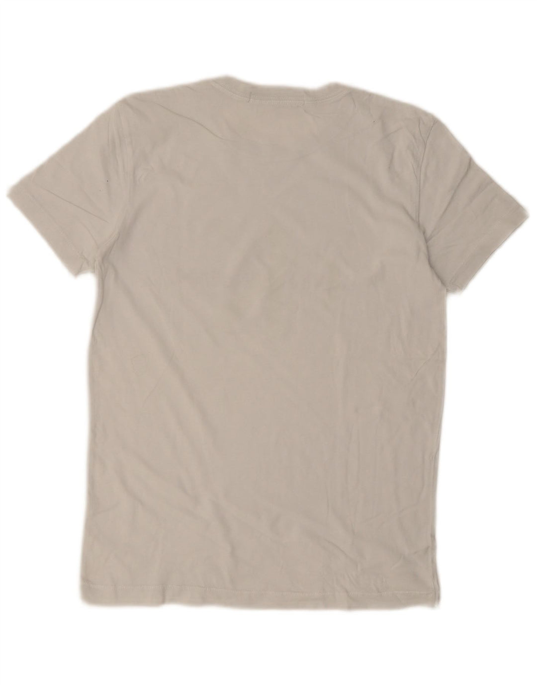 Ανδρικό γραφικό T-Shirt CALVIN KLEIN JEANS Τοπ μεσαίο λευκό