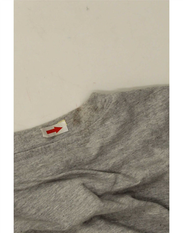Ανδρικό γραφικό T-Shirt Puma Top Larg γκρι βαμβακερό