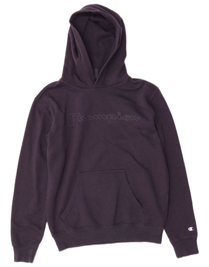 Champion Mens Graphic Hoodie Jumper Small Navy Blue
