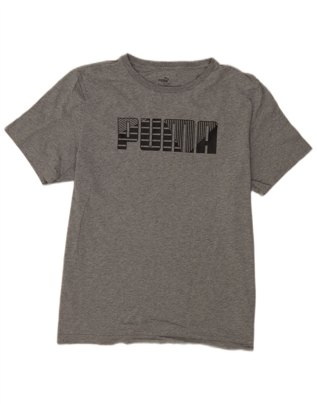 Ανδρικό γραφικό T-Shirt Puma Top Larg γκρι βαμβακερό