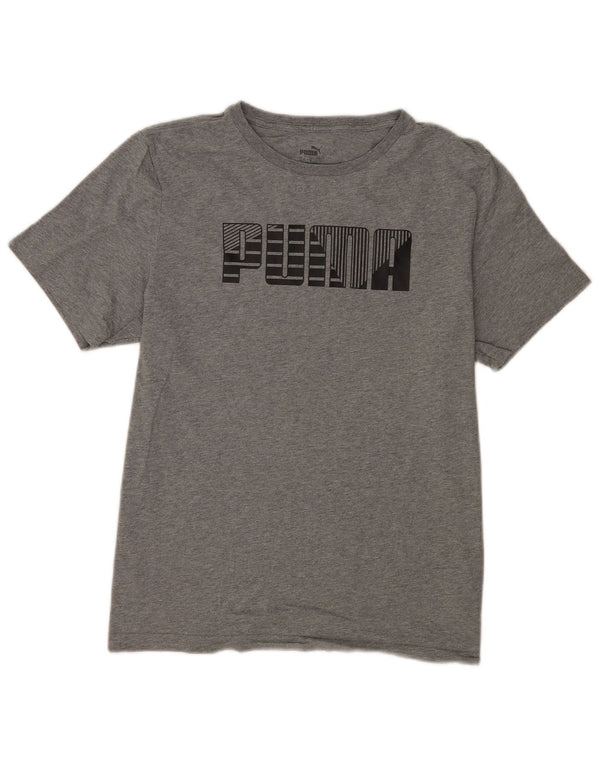 Ανδρικό γραφικό T-Shirt Puma Top Larg γκρι βαμβακερό