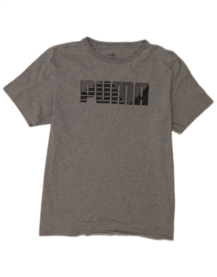 Ανδρικό γραφικό T-Shirt Puma Top Larg γκρι βαμβακερό