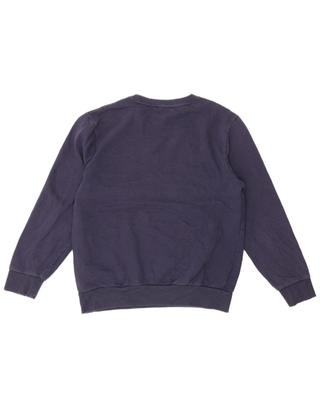 True Religion Ανδρικό γραφικό φούτερ Jumper Medium Navy Blue Cotton